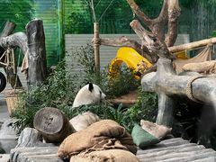 -灵玲国际马戏城