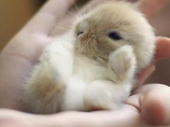 -张关合渣(航空大道店)