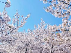 -苏州上方山国家森林公园