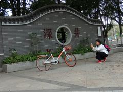 -长洲岛