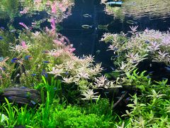 -上海海洋水族馆