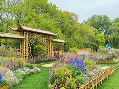 -上海共青森林公园