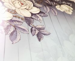 -甲舍美甲美睫艺术馆