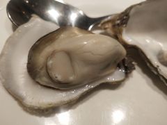 生蚝-星伦多自助料理(花山金鹰店)