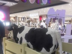 -红星前进面包牛奶公司(君太店)