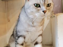 -平行世界·猫咖(首经贸店)