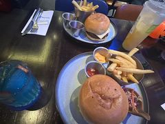 -bluefrog蓝蛙(皇庭广场店)