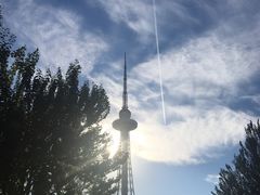 -龙塔