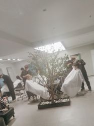 点击看大图 -付军剪艺JF ProSalon