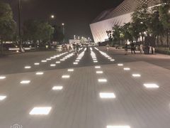-南京眼步行桥