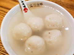 -海丝金凤(金鱼店)