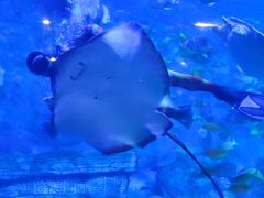 -横店影视城梦幻谷园区