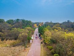 -盘龙城国家考古遗址公园