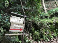 -岚山猴子公园