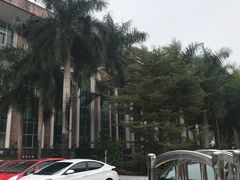 景点-广西壮族自治区博物馆