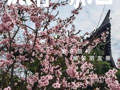 -中国翰园碑林