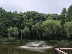 -黄兴公园
