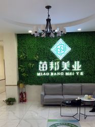 -苗医生专业祛痘·皮肤管理