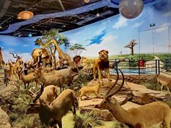 -陕西自然博物馆