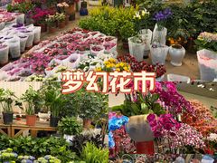 -双季花艺园艺市场(浦东店)