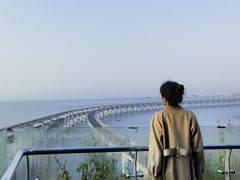 -星海湾跨海大桥