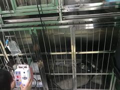 -半岛宠物医院24小时(科华中路店)
