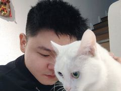 -琪喵猫屋·撸猫猫咖·猫舍