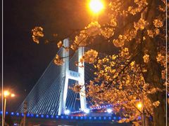 -南浦大桥长途旅游客运站