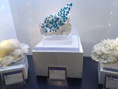 -中国地质大学逸夫博物馆