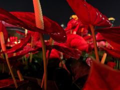 -天河体育中心