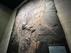 -浙江自然博物院(杭州馆)