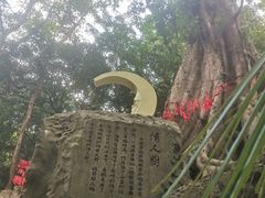 -七仙岭温泉国家森林公园