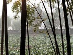 -石燕湖生态旅游景区