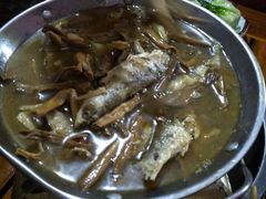 -鱼乐岛餐厅·户外花园主题餐厅