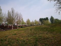 -潇河湿地公园