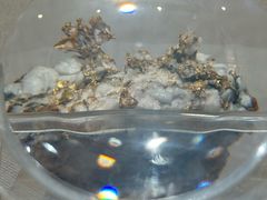 -湖南省地质博物馆