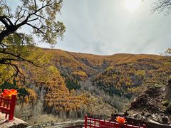 -五台山风景名胜区