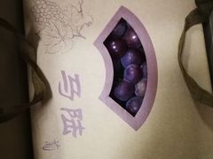 -上海马陆展信葡萄专业合作社