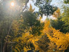 -虞山风景区