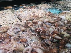 -紫阳海鲜楼·传承闽味(长乐路总店)