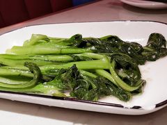 -南枝记