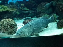 -鹿儿岛水族馆