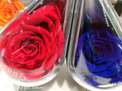 -ROSEONLY诺誓(沈阳万象城店)