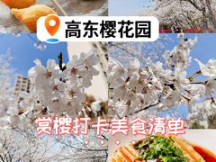 -高东镇樱花园