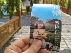 -田园东方蜜桃村的田野营地