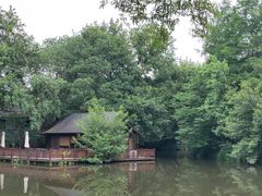 -西溪国家湿地公园