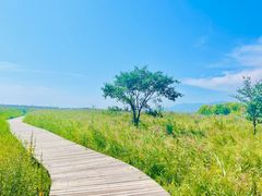 -野鸭湖国家湿地公园