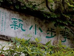 -留园
