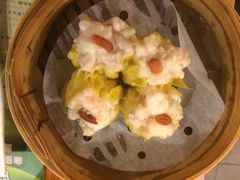 添好运点心专门店(深水埗店)-添好运点心专门店(深水埗店)