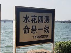 -丁香湖公园